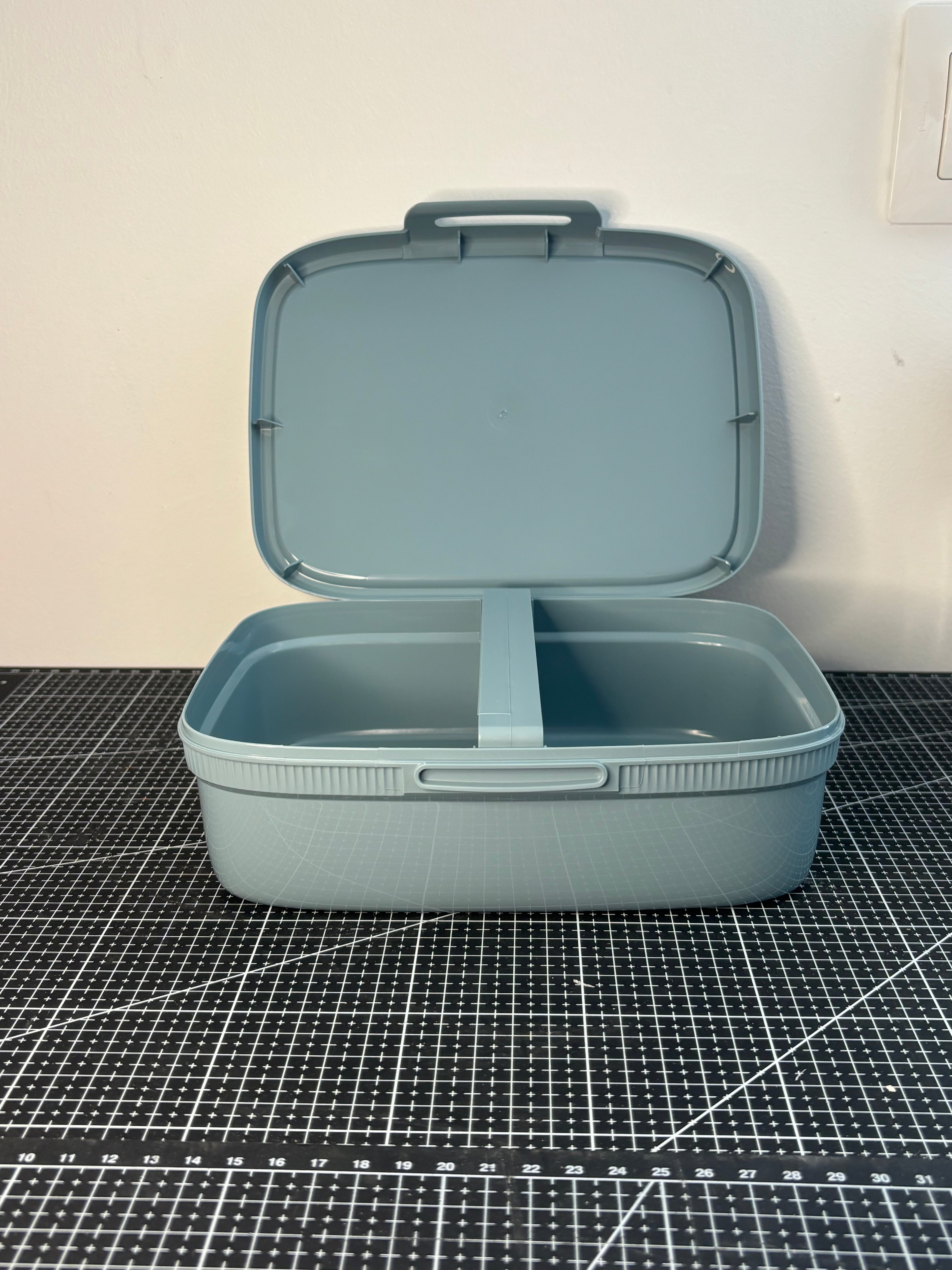 Grand boîte déjeuner