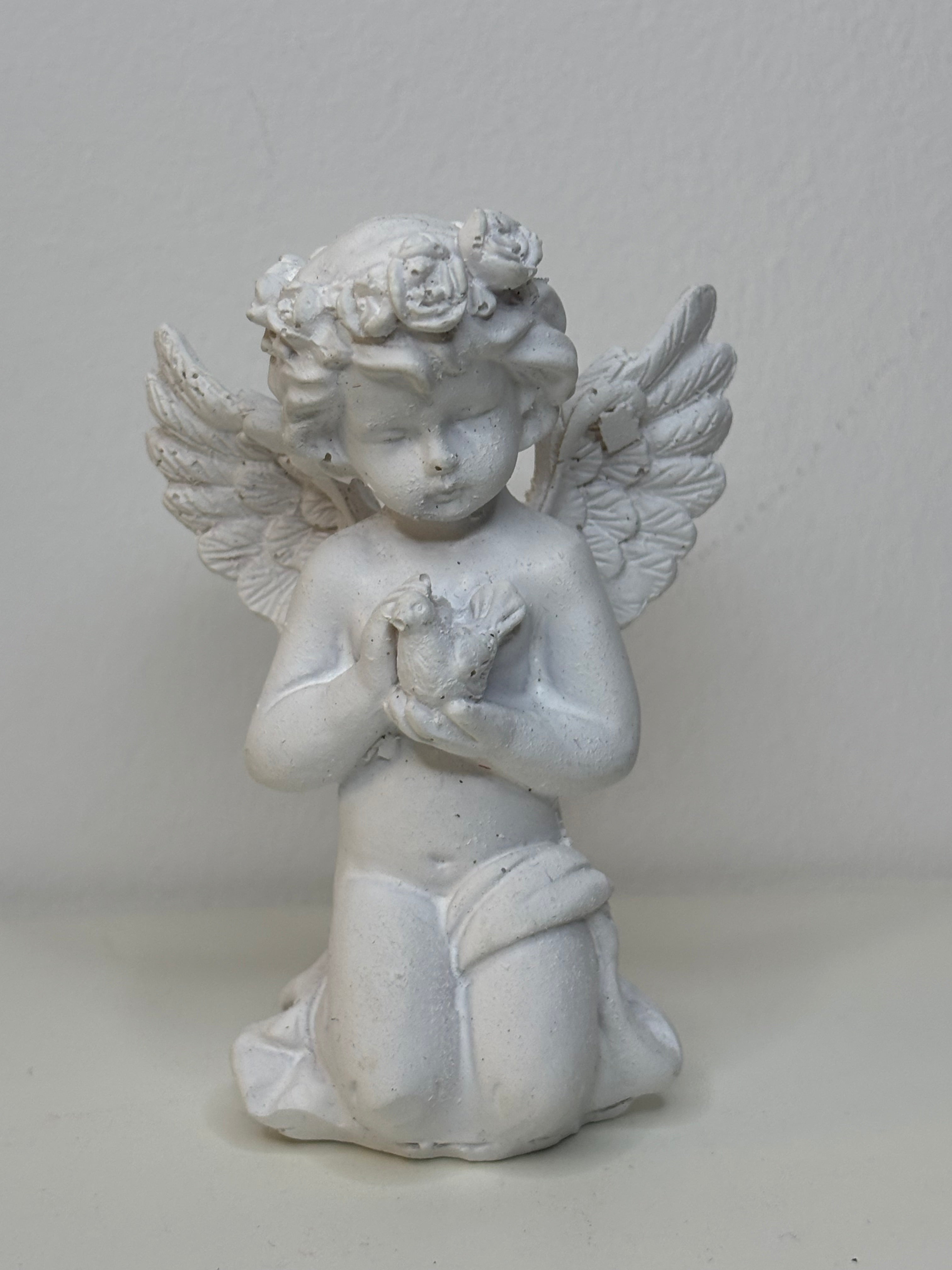 Ange colombe caresse