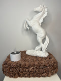 Plateau cheval