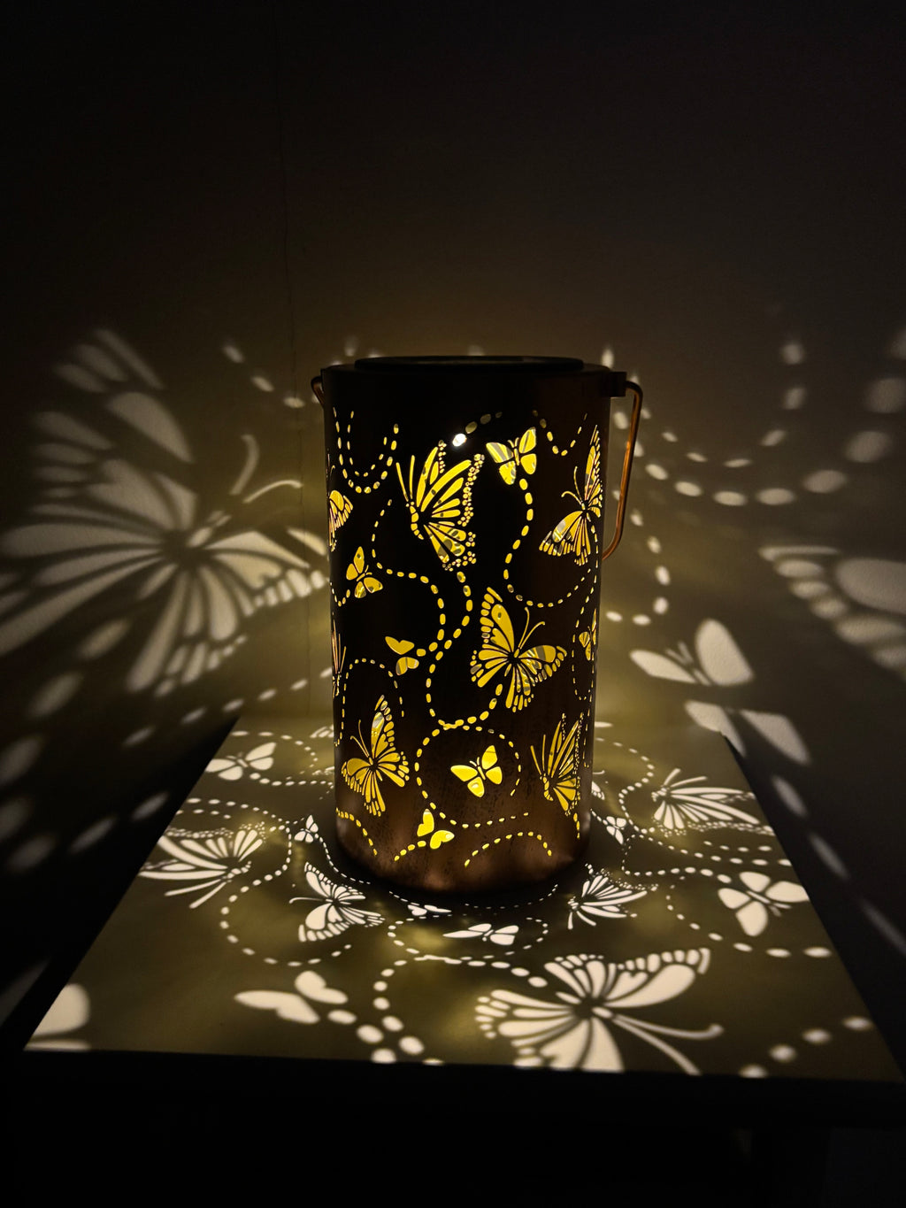 Lanterne papillon