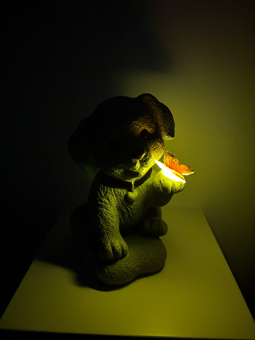 Lanterne chien avec papillon