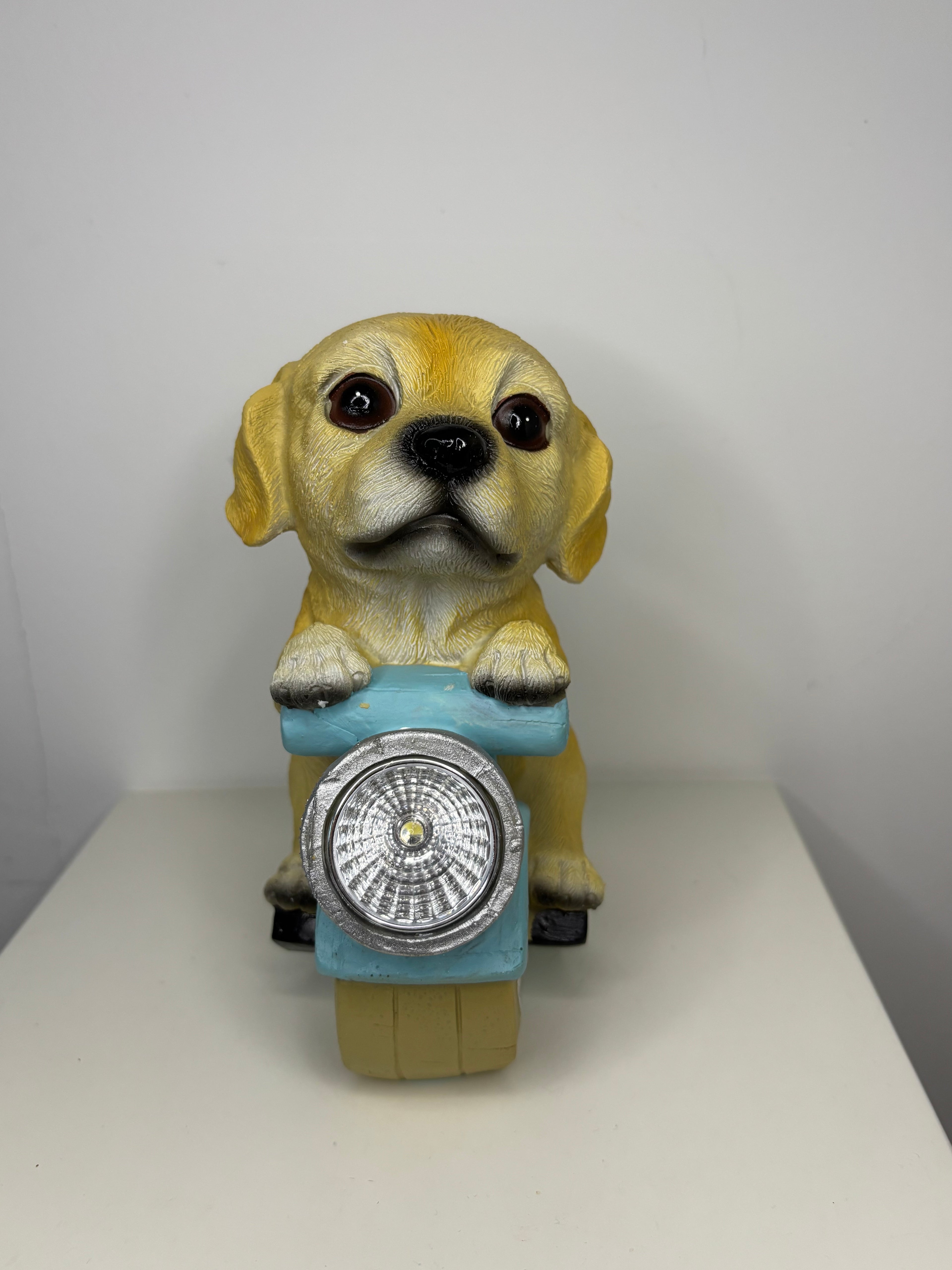 Lanterne chien vélo