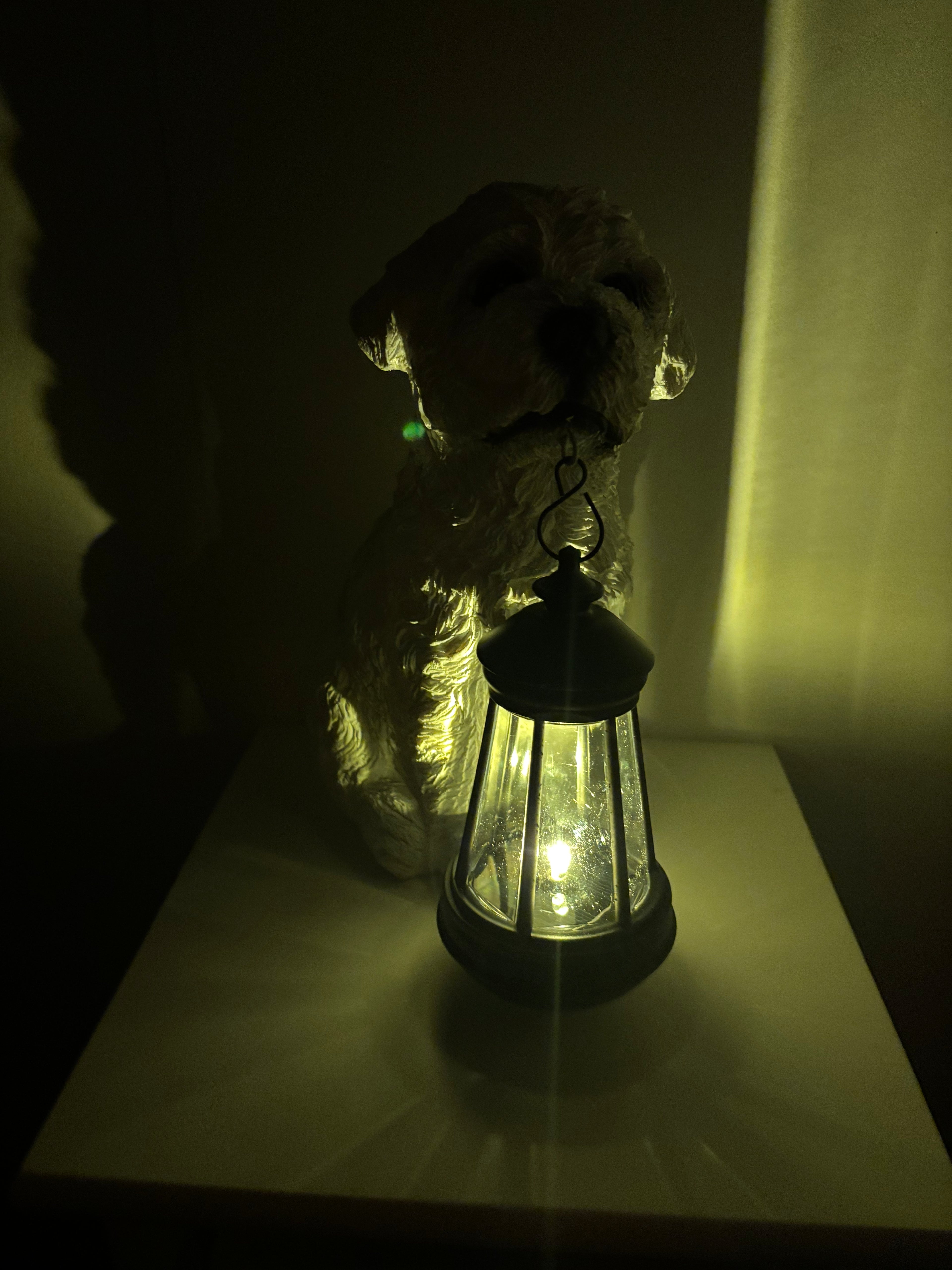 Lanterne chien assis